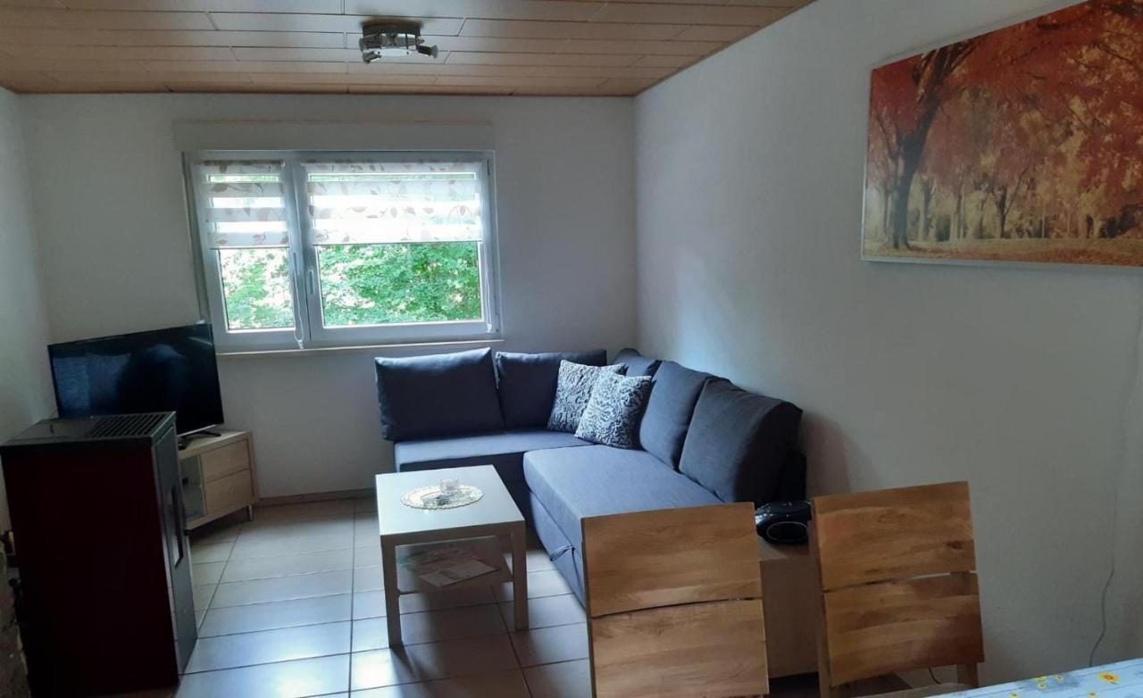 Feriendorf "Am Forsthaus" Mosbach Mosbach  Bagian luar foto
